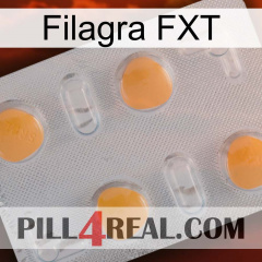 Filagra FXT 24